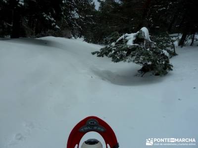 Raquetas de Nieve - Puerto de Cotos; rutas en la sierra de madrid; viajes comunidad de madrid;lugare